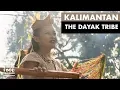 Download Lagu Kalimantan | The Dayak Tribe
