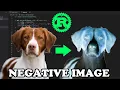 How do negative images work
