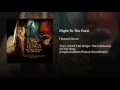 Flight to the Ford