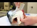 Download Lagu Japanese technique - How to fillet a whole salmon - 鮭のさばき方