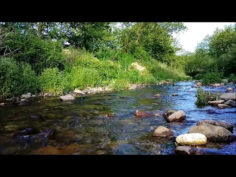 Download MP3 SOOTHING WATER SOUND, NİGHTİNGALE BİRD SOUND Relaxing Stream River Sound, Nature Sounds, Sleep Music
