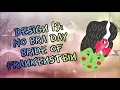 Download Lagu 🎃 No Bra Day Bride of Frankenstein | #MAELOWEEN2020