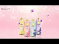 Download Lagu Cindy Bloom - Sữa tắm nước hoa - Da sáng mịn, tỏa ngát hương