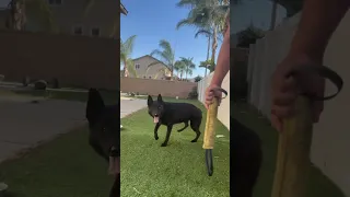 July 10 2025  July 10 2025