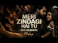 Lagu Meri Zindagi Hai Tu x Ishq Mubarak | Aftermorning | Arijit Singh Asim Azhar | Instagram Viral Mashup