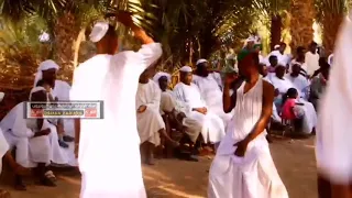 عبدالواحد الباوقه زواج شيخ الدين حوش الامين الباوقه 