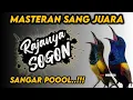 Lagu Ini baru sangar !! MASTERAN SOGON FULL ISIAN TEMBAKAN SUPER MEWAH‼️