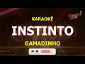 INSTINTO GAMADINHO KARAOKE
