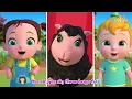 Baa Baa Color Sheep | Colors Song For Kids | Nursery Rhymes & Kids Songs | NuNu Tv