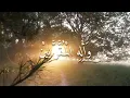Download Lagu sholallah ala yasin - taqim azzahir صلی الله علی ياس