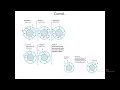 Circular Queue implementation