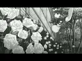 Natalie Jane - Intrusive Thoughts ( slowed + reverb )