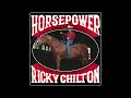 Ricky Chilton - Beef Jerky Stick