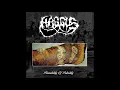 Download Lagu Haggus - Plausibility Of Putridity LP (2018) Full Album HQ (Goregrind/Mincecore)