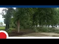 Severe storms uproot trees and cause power outages in Chicago area