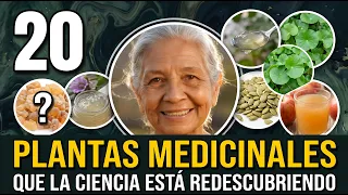 Microbiota intestinal: 20 PLANTAS MEDICINALES respaldadas por la CIENCIA
