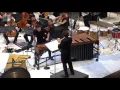 Download Lagu Kalevi Aho - Sieidi (Concerto for Percussion and Orchestra)