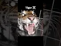 Download Lagu Big Cats Roar💀🥶 | Cheetah , Leopard , Jaguar , Lion , Tiger #sound #lion #tiger #jaguar #leopard