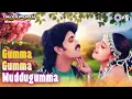 Download Lagu Gumma Gumma Muddugumma | Ramudochadu | Nagarjuna, Ravali | S.P. Balasubrahmanyam, K.S. Chithra