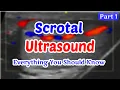 Scrotal Ultrasound Everything You Should Know part 1