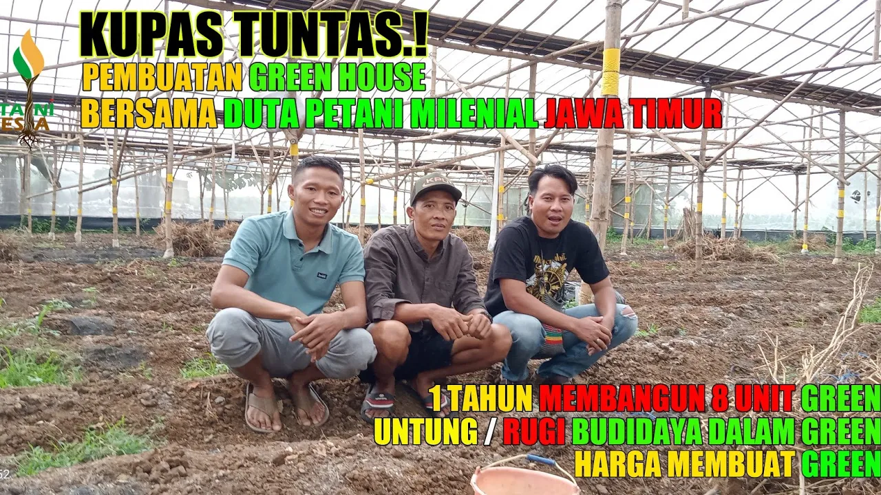 KUPAS TUNTAS ! PEMBUATAN GREEN HOUSE - BERSAMA PEMBORONG GREEN HOUSE JAWA TIMUR KUPAS TUNTAS ! PEMBUATAN GREEN HOUSE - BERSAMA PEMBORONG GREEN HOUSE JAWA TIMUR