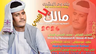 جديد 2024 الفنان المبدع بله ود الاشبه مالك يا قليبي 