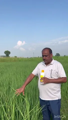 जम्मू-कश्मीर के कठुआ में रहने वाले किसान ने गिनाए नैनो डीएपी के कैसे फायदे| वनइंडिया हिंदी
