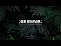 Download Lagu Qolbi Muhammad - Mishari Rashid Alafasy | dan Terjemahan | Hubban Tabassamu