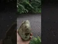 Weird Earth - Testing How Deep is this Puddle of Mud