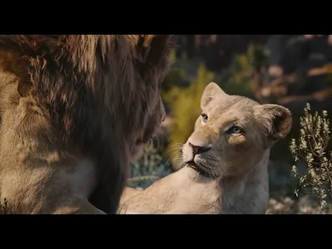 Cast of The Lion King Can You Feel the Love Tonight