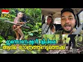 Lagu EP2 മെന്തവായി ദ്വീപിലെ കാട്ട് മനുഷ്യരെ തേടി ഞങ്ങളൊരുമിച്ച് കാട്ടിലേക്ക് Traveling To Mentawai Island