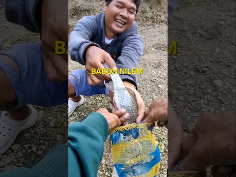NILEM BABON MANTAP! #mancing #shorts #viral