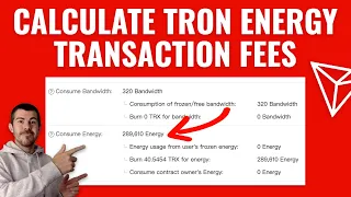 How To Calculate Tron Energy Transaction Fees 