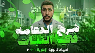 شرح الدعامة في النبات أحياء ثانوية أزهرية 2026 دكتور عبدالرحمن سامي 
