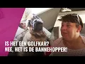 Download Lagu De blije bulldogs van de Banne