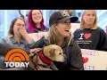WATCH Lost dog reunited with owner after 7 years apart