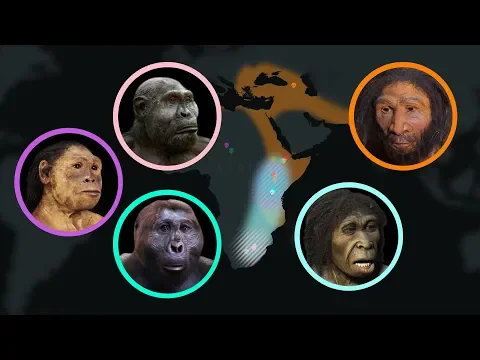 Download MP3 Seven Million Years of Human Evolution #datavisualization