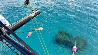 Via Bonaire to the crash site on Aruba – Sailing Greatcircle (ep.250)