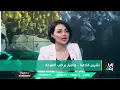 سعدون الساعدي يغادر الاستوديو منفعلاً ويهدد منى سامي على الهواء مباشرة