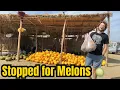 Download Lagu 🚗 Road Trip from Tangier to Rabat | Moroccan Highway Adventure + Roadside Melons 🍈🇲🇦