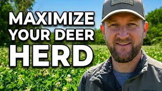 Maximize You Property For Whitetail Deer