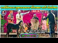 Download Lagu Raysing Mama Comedy Part 3 | रायसिंगमामा \u0026 तुकाराम मामा पार्टी सोनारेकर 2025 / 2026 | पब्लिक कॉमेडी 