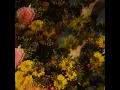 Rust - Ben Böhmer