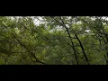 Richter: November - Mari Samuelsen