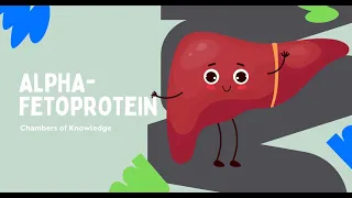 What s AFP The Little-Known Protein That Could Reveal Big Health Secrets