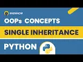 Single Inheritance in Python Practical Examples Liskov Principle
