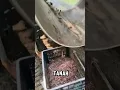 Download Lagu Alat untuk memisahkan cacing dari tanah#penyaring #cacing #tanah #shortvideo #shorts