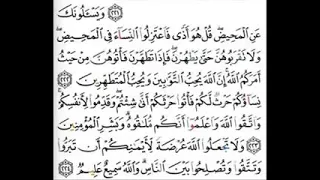 الشيخ اسامه جلال عامر سورة البقرة 