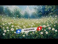 Relaxing Daisy Field in 4K | 5 Hour Frame TV Art Screensaver
