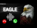 Download Lagu Eagle Ringtone // king ringtone Download MP3 message ringtone